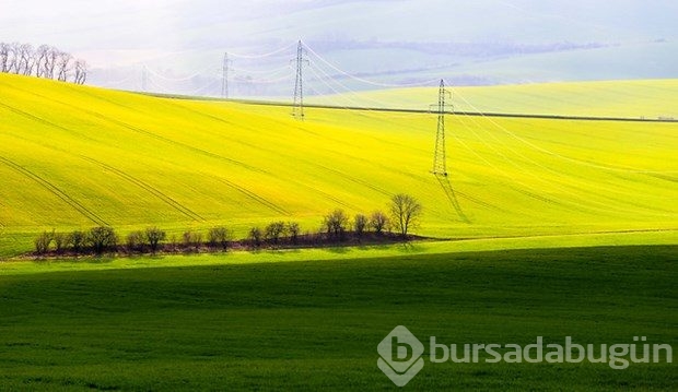 Fotoğrafçıların yeni uğrak noktası