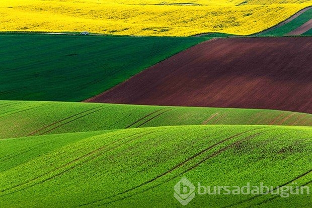 Fotoğrafçıların yeni uğrak noktası