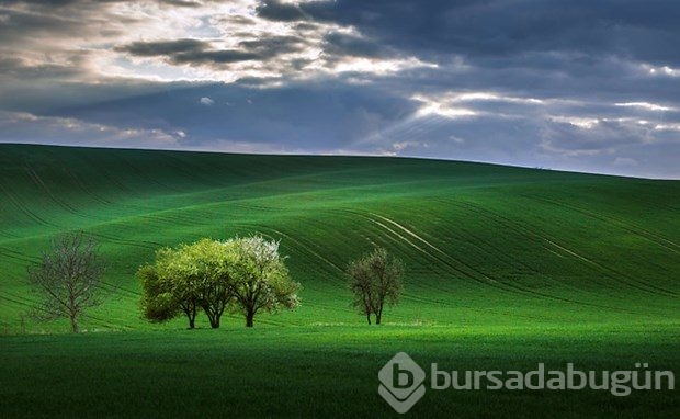 Fotoğrafçıların yeni uğrak noktası