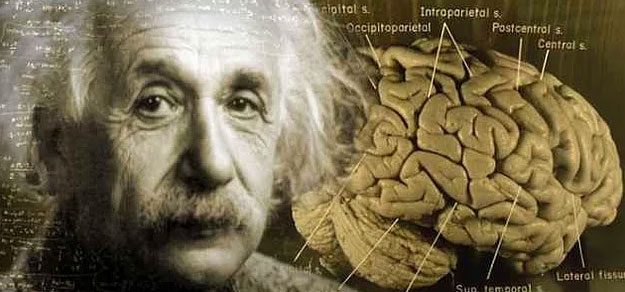 Bilinmeyen yönleriyle Einstein