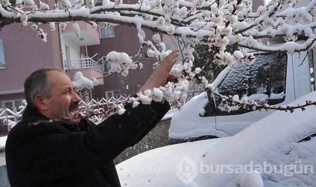 Mart ortasında kış geri geldi
