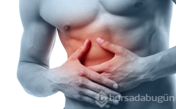 İnsanda bulunan 10 körelmiş organ