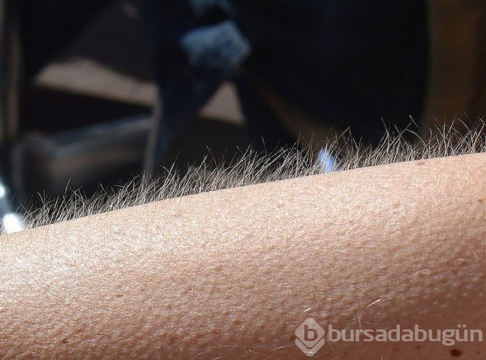 İnsanda bulunan 10 körelmiş organ