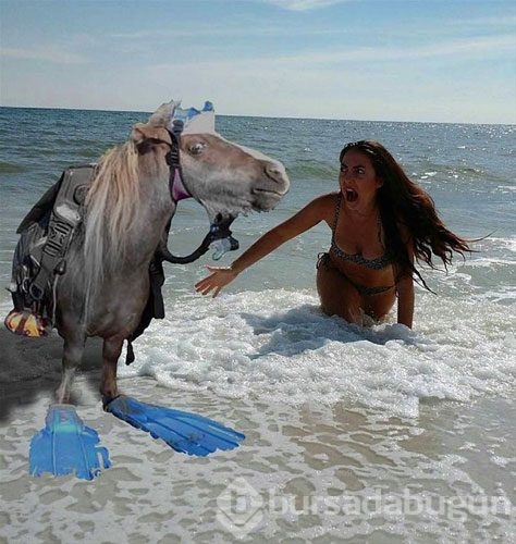 Photoshop kurbanları
