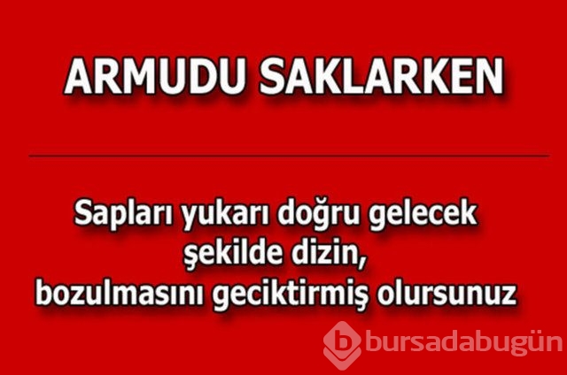Dikkat! Patatesi dolaba koyarsanız..
