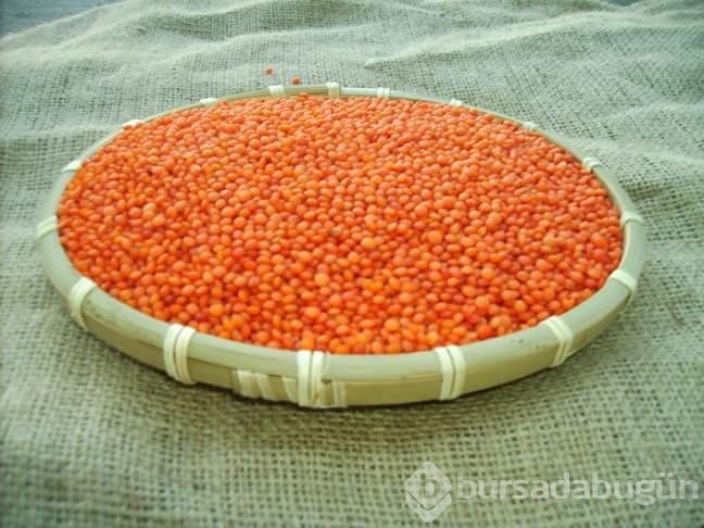 Şifası saymakla bitmeyen besin kaynağı