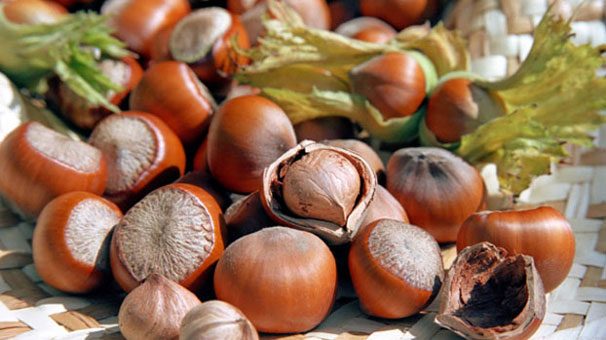 15 yılda hangi meyve ne kadar üretildi