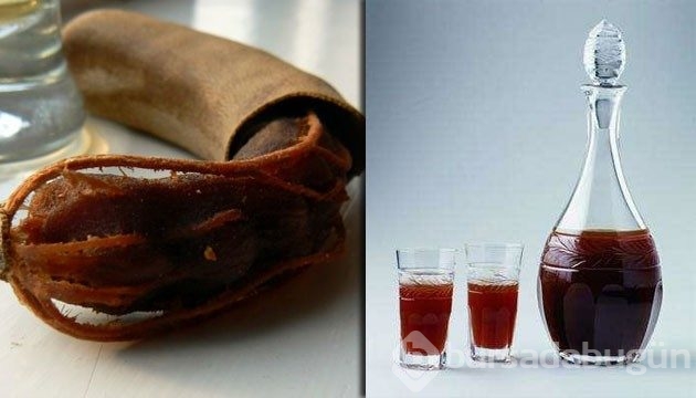 16 hastalığın şifası onda
