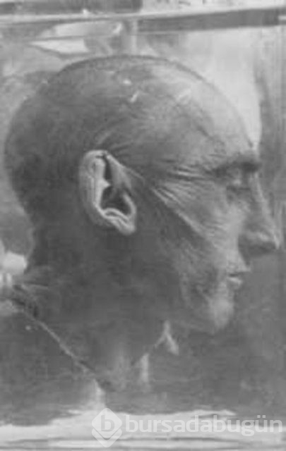 Korkunç Nazi deneyleri