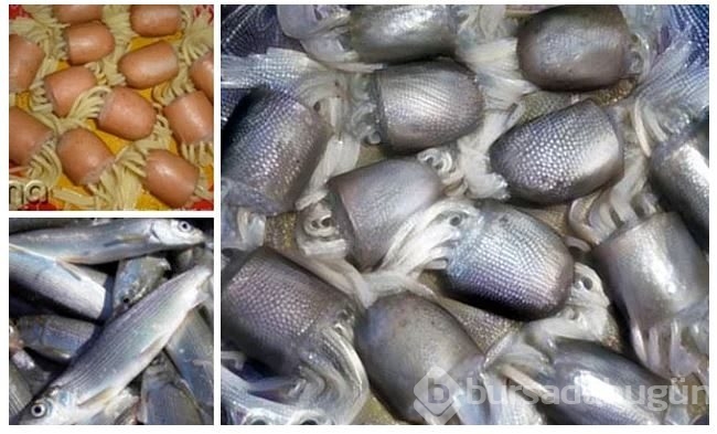 Rastgele fotoğrafları birleştirince...