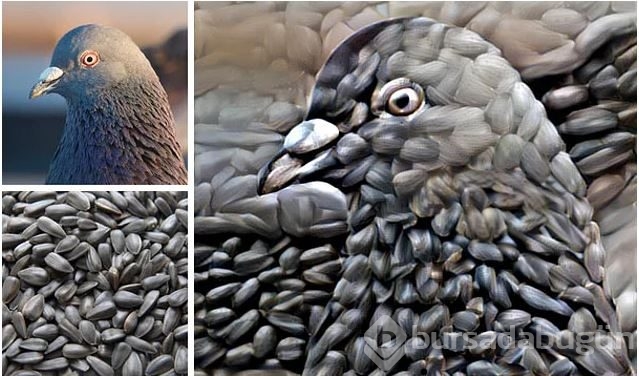 Rastgele fotoğrafları birleştirince...