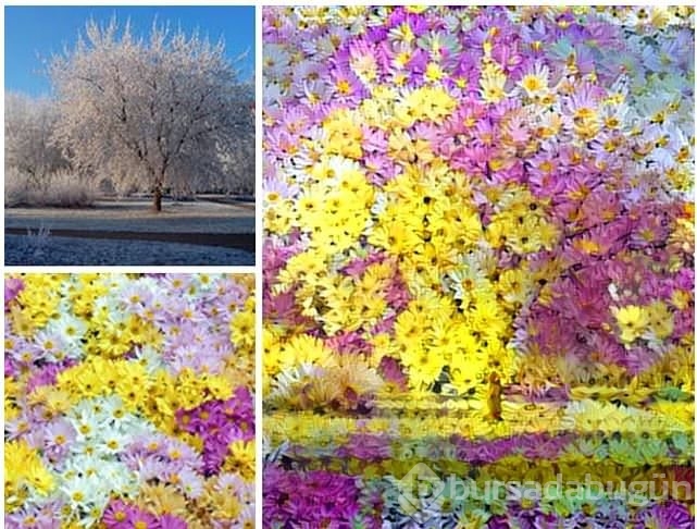 Rastgele fotoğrafları birleştirince...