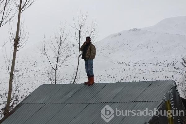 Bu köyün gençleri minareden inmiyor
