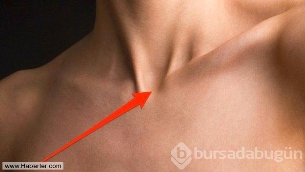 Daha önce hiç duymadığınız 12 isim ve anlamları