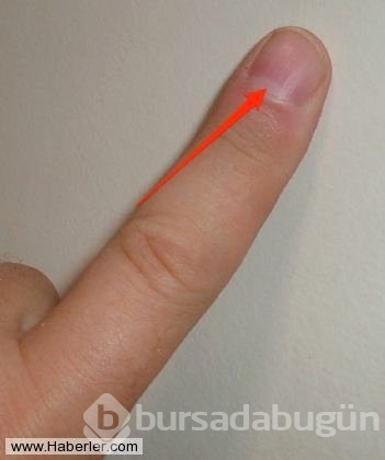 Daha önce hiç duymadığınız 12 isim ve anlamları