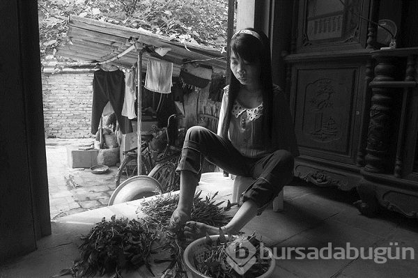 Savaşın izini taşıyan bir kadının fotoğraflarla yaşamı