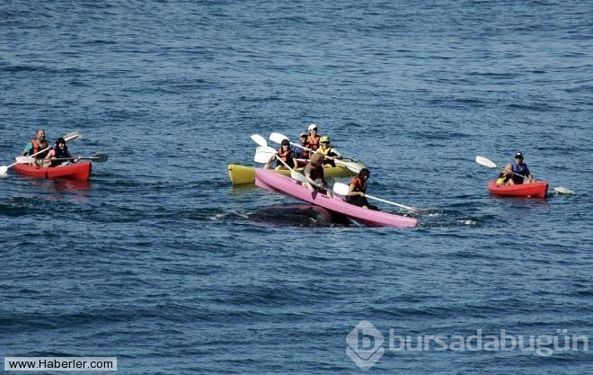 Kanoyla dolaşan turistler dev balina ile burun buruna geldi