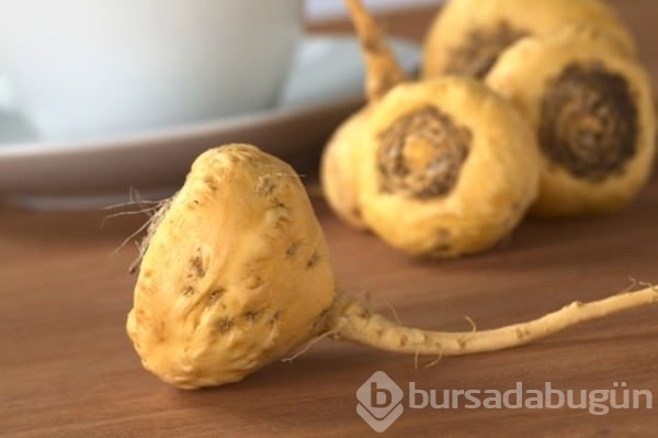 Genç kalmanın sırrı bu bitkide	