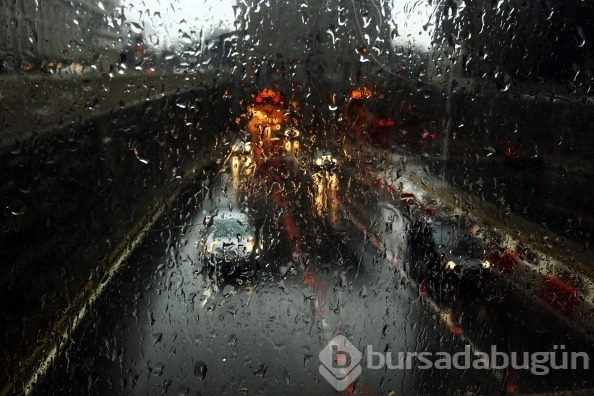 Sadece yağmur yağınca görünüyorlar
