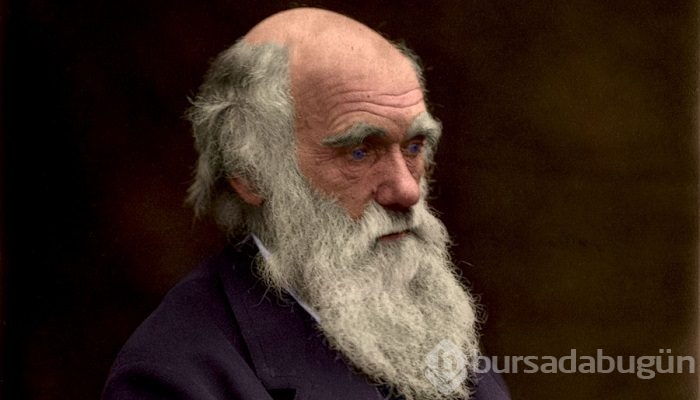 40 yaşından sonra inanılmaz bir başarı elde etmiş 7 ünlü isim