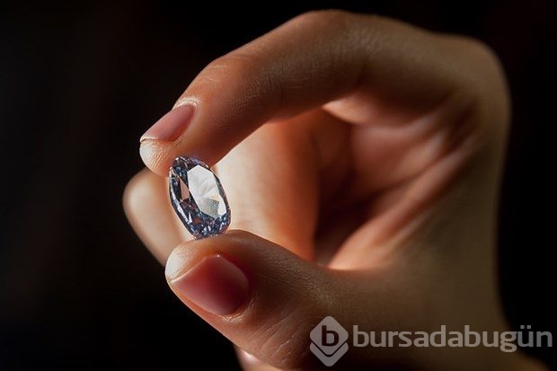 Dev elmas 30 milyon dolardan satışta