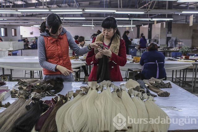 Peruk fabrikasında bir gün	
