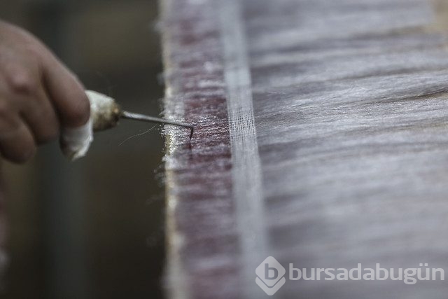 Peruk fabrikasında bir gün	

