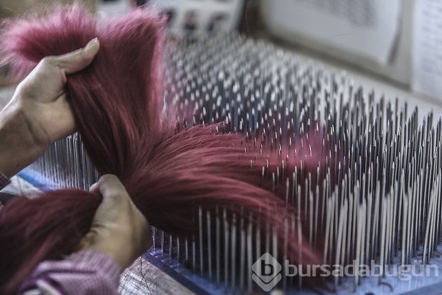 Peruk fabrikasında bir gün	
