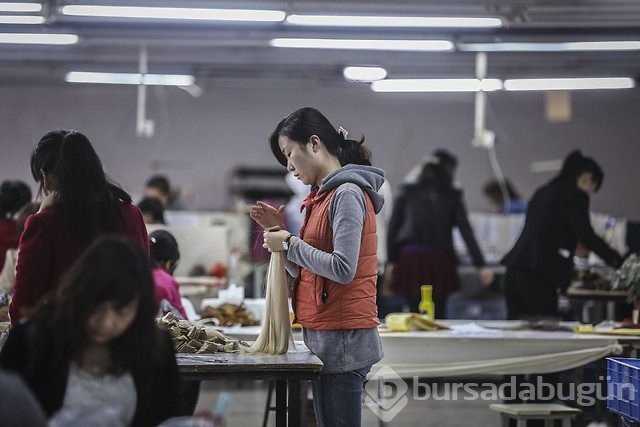 Peruk fabrikasında bir gün	
