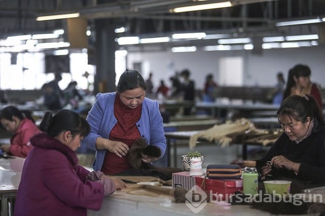 Peruk fabrikasında bir gün	
