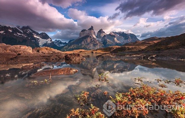 World Photography Awards'un kazananları belli oldu
