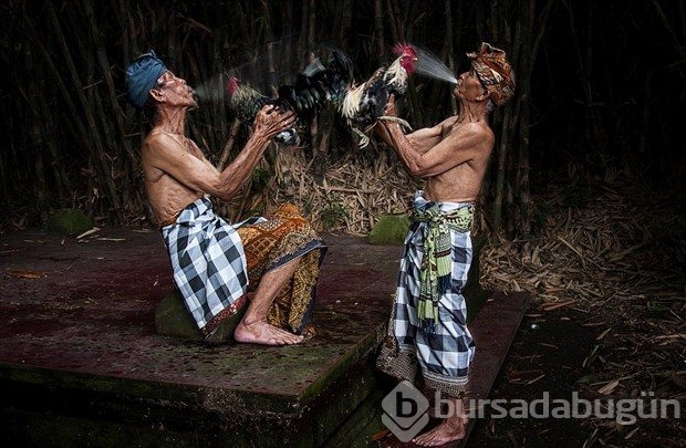 World Photography Awards'un kazananları belli oldu

