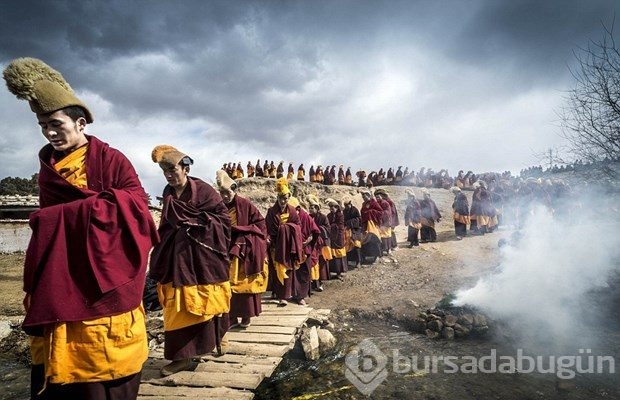 World Photography Awards'un kazananları belli oldu
