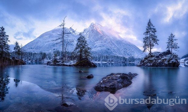 World Photography Awards'un kazananları belli oldu
