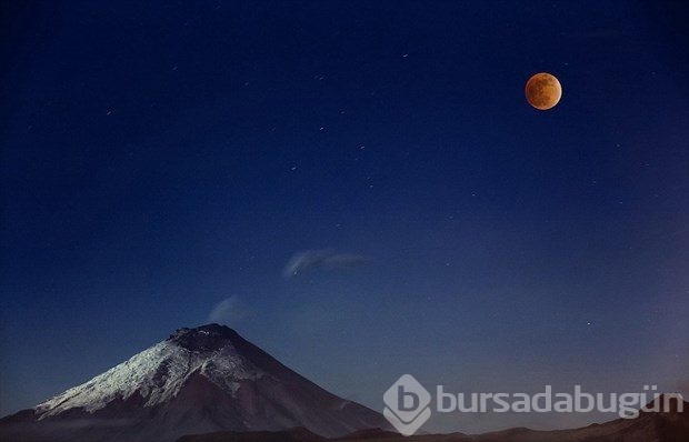 World Photography Awards'un kazananları belli oldu
