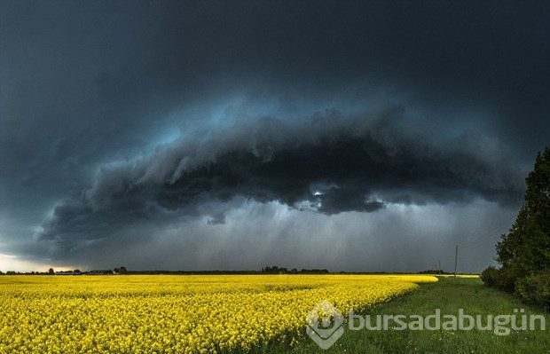 World Photography Awards'un kazananları belli oldu
