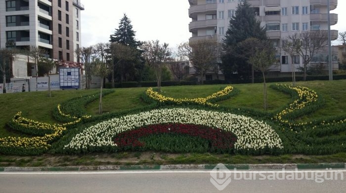 Bursa'da lale devri
