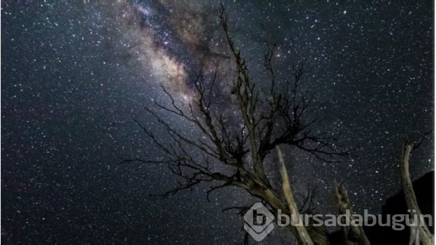 Namibya Çölü'nde buzul çağının ipuçları saklı