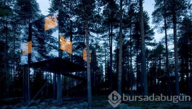 &#8203;13 fotoğrafla dünyanın en etkileyici ağaç evleri
