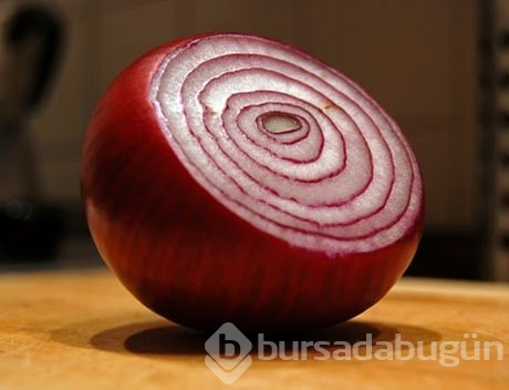 Doğal antibiyotikler
