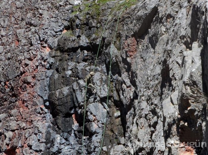 Tunceli'de komandolardan mağara operasyonu
