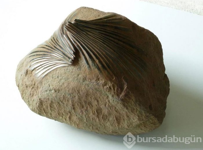 Taşları ezen adam