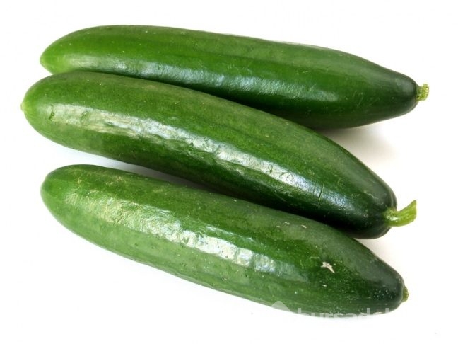 14 günde tam 7 kilo vermek ister misiniz? 