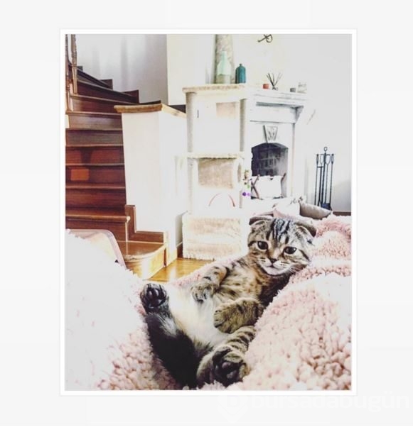İnstagram'da Ünlüler - 21 Mart 2016