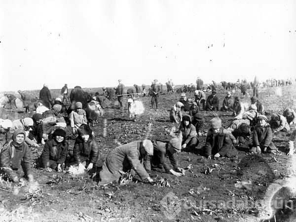 Holodomor: Bir halk açlıkta nasıl hizaya getirilir?