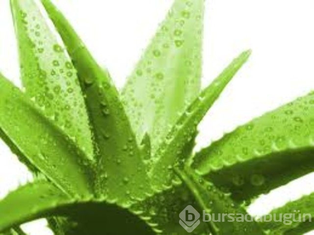 Bir bahar klasiği: O ayakkabı ayağınızı vuracak!