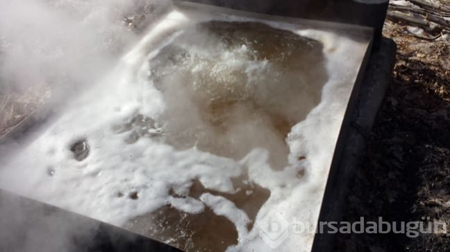 Ağaçtan gelen mucize! Ünlü yıldızın sırrı buymuş