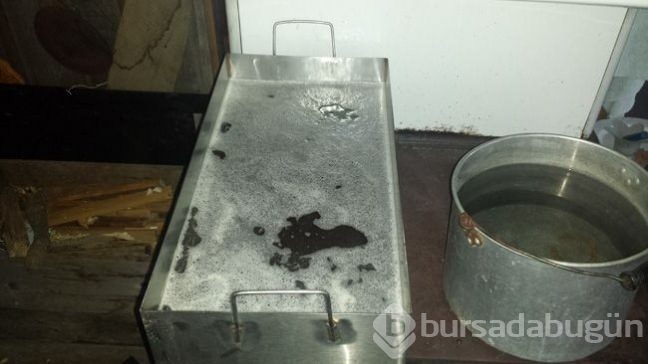 Ağaçtan gelen mucize! Ünlü yıldızın sırrı buymuş
