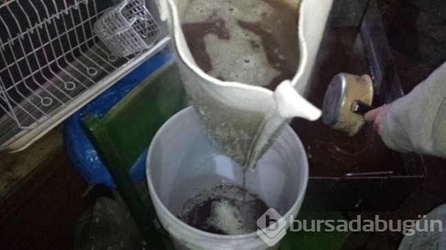 Ağaçtan gelen mucize! Ünlü yıldızın sırrı buymuş