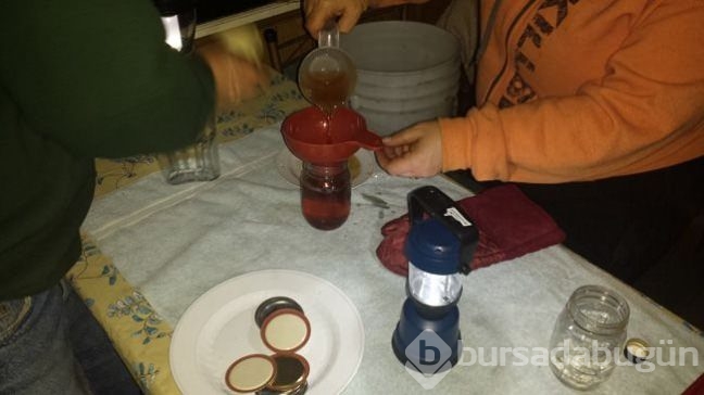 Ağaçtan gelen mucize! Ünlü yıldızın sırrı buymuş